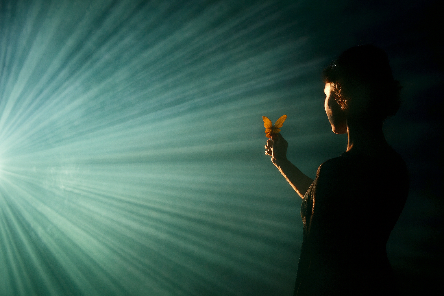 Valon ja varjon leikki metsän yllä.